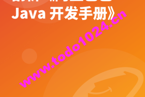 解锁大厂思维：剖析《阿里巴巴 Java 开发手册》 | 完结