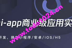 uni-app商业级应用实战 一次搞定小程序/安卓/iOS/H5 | 完结