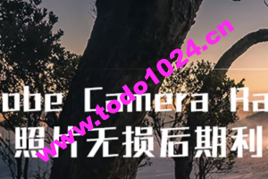 Adobe Camera Raw：照片无损后期利器 | 完结