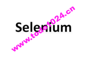 Selenium 自动化测试实战 | 完结