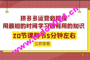 拼多多运营必修课：20节课每节5分钟左右学习最有用的知识