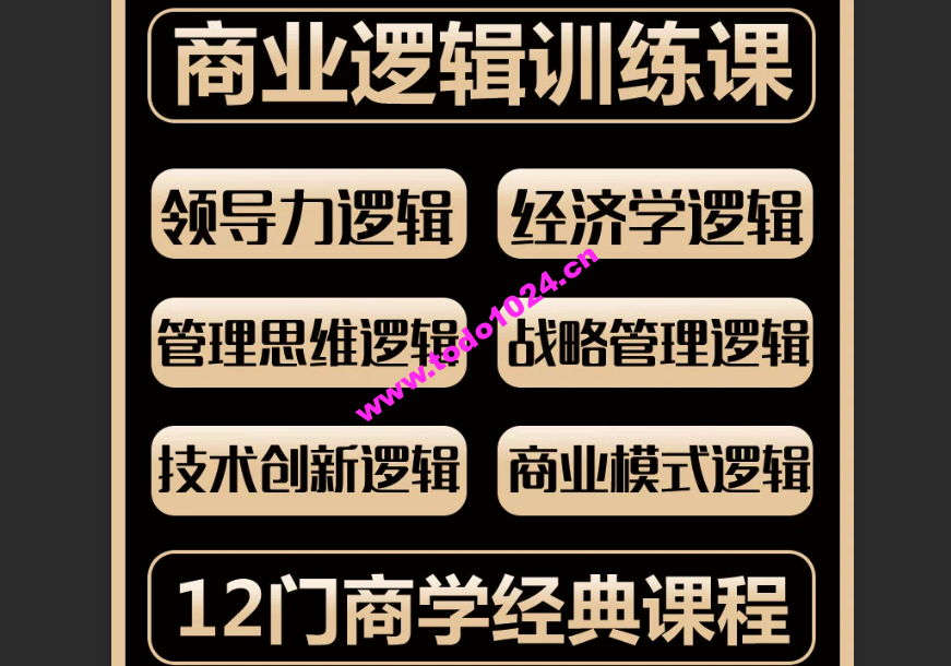 01 基础班 MBA商业逻辑 12个模块 【推荐】