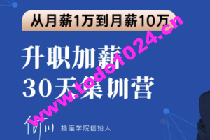 L2 何川 插座学院 升职加薪30天训练营