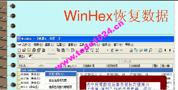 WinHex数据恢复教程winhex数据恢复教程从入门到精通