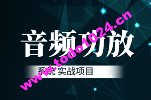 音频功放系统 实战项目