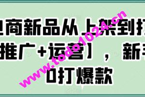 电商新品从上架到打爆【推广+运营】，新手从0打爆款