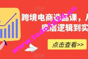 跨境电商选品课，从选品到底层逻辑到实战