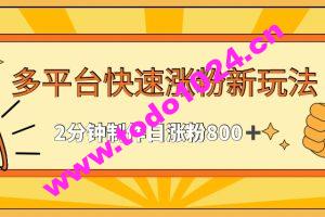 多平台快速涨粉最新玩法，2分钟制作，日涨粉800+【揭秘】