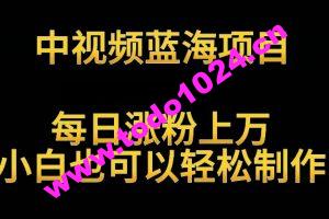 中视频蓝海项目，解读英雄人物生平，每日涨粉上万，小白也可以轻松制作，月入过万不是梦【揭秘】