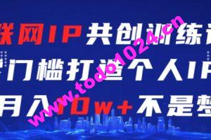 互联网IP共创训练课，零门槛零基础打造个人IP，月入10w+不是梦【揭秘】