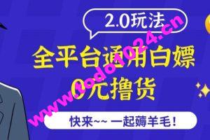 外面收费2980的全平台通用白嫖撸货项目2.0玩法【仅揭秘】