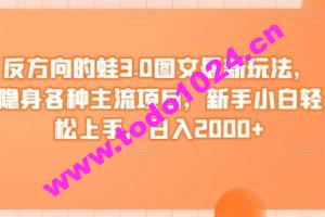 反方向的蛙3.0图文最新玩法，隐身各种主流项目，新手小白轻松上手，日入2000+【揭秘】