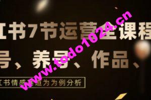 7节小红书运营实战全教程，结合最新情感赛道，打通小红书运营全流程【揭秘】