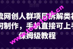 引流网创人群项目拆解类视频如何制作，手机直接可上手，保姆级教程【揭秘】