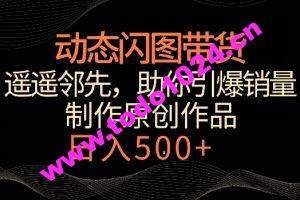 动态闪图带货，遥遥领先，冷门玩法，助你轻松引爆销量，日赚500+【揭秘】