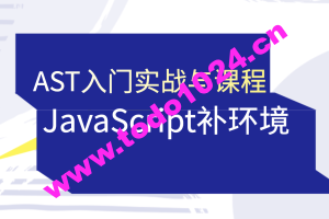 蔡老板-AST入门实战与JavaScript补环境课程