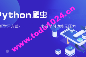 夜猫编程Python爬虫JS逆向进阶课(录播课＋答疑)从零基础到高薪就业编程课