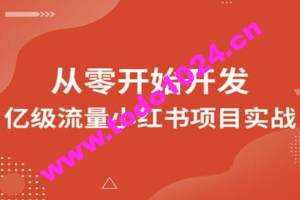 图灵 从零开始开发亿级流量小红书项目实战