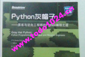 Python灰帽子网络安全实践