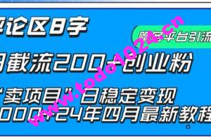 抖音评论区8字日截流200+创业粉 “卖项目”日稳定变现5000+【揭秘】