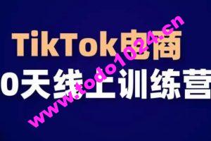 TikTok电商带货30天线上课，不可错过的全球流量洼地！