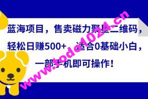 蓝海项目，售卖磁力聚星二维码，轻松日赚500+，适合0基础小白，一部手机即可操作【揭秘】