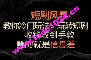 短剧风暴，教你冷门玩法，玩转短剧，收钱收到手软【揭秘】