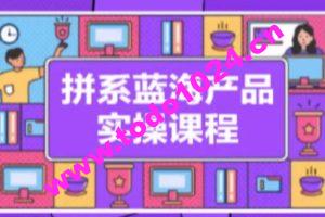 拼系冷门蓝海产品实操课程，从注册店铺到选品上架到流量维护环环相扣