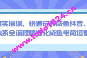 电商实操课，快速玩转咸鱼抖音，全体系全流程精细化咸鱼电商运营