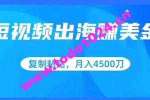 短视频出海赚美金，复制粘贴批量操作，小白轻松掌握，月入4500美刀【揭秘】