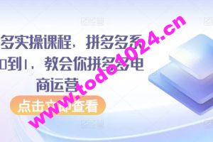 拼多多实操课程，拼多多系统从0到1，教会你拼多多电商运营