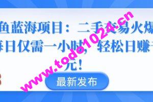 闲鱼蓝海项目：二手交易火爆，每日仅需一小时，轻松日赚千元【揭秘】