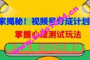 独家揭秘！视频号分成计划曝光，掌握心理测试玩法，快速实现1000元收益【揭秘】