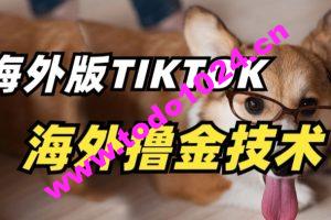 抖音海外版tiktok撸金技术，这个风口行业，赚钱真的不难【揭秘】