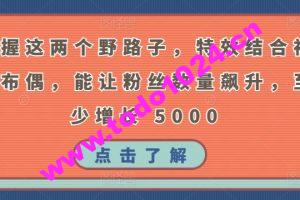 掌握这两个野路子，特效结合神奇布偶，能让粉丝数量飙升，至少增长 5000【揭秘】