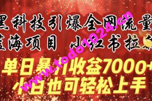 蓝海项目!黑科技引爆全网流量小红书拉新，单日暴力收益7000+，小白也能轻松上手【揭秘】