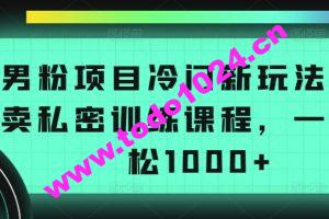 男粉项目冷门新玩法，售卖私密训练课程，一天轻松1000+【揭秘】