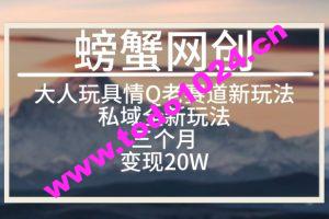 大人玩具情Q用品赛道私域全新玩法，三个月变现20W，老项目新思路【揭秘】