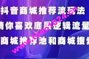 抖音商城运营课程，猜你喜欢入池商城搜索商城推荐人群标签覆盖