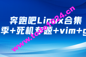 奔跑吧Linux社区合集 第1+2+3+4季+死机专题+RISC-V高级+arm64高级+vim+git