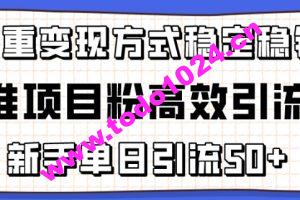 精准项目粉高效引流术，新手单日引流50+，多重变现方式稳定赚钱【揭秘】