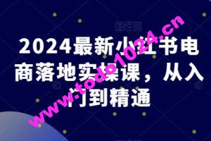 2024最新小红书电商落地实操课，从入门到精通