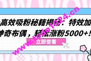 两个高效吸粉秘籍揭秘：特效加持与神奇布偶，轻松涨粉5000+【揭秘】