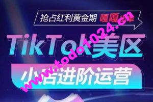 TikTok Shop美区小店进阶运营，抢占红利黄金期 嘎嘎出单