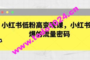 小红书低粉高变现课，小红书必爆的流量密码