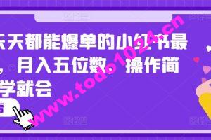 2024天天都能爆单的小红书最新玩法，月入五位数，操作简单，一学就会【揭秘】