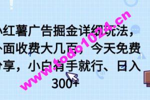 小红薯广告掘金详细玩法，外面收费大几百，小白有手就行，日入300+【揭秘】