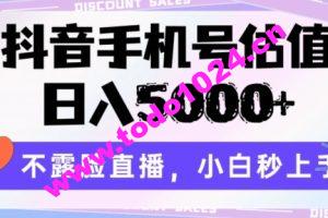 抖音手机号估值，日入5000+，不露脸直播，小白秒上手【揭秘】