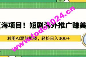 蓝海项目!短剧海外推广赚美金，利用AI混剪视频，轻松日入300+【揭秘】