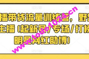 直播带货流量训练营，野路子主播(起新号/专场/打榜/明星网红助博)